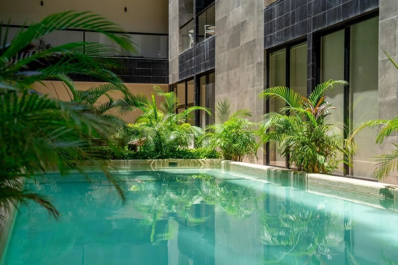 Cozy & Central Apt W/ Rooftop Infinity Pool & Gym 普拉亚卡门