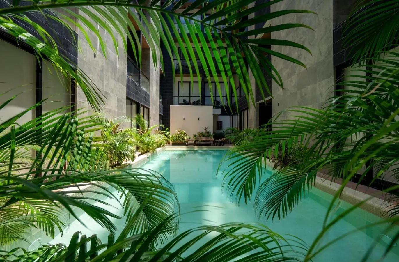 Apartamento Cozy & Central Apt W/ Rooftop Infinity Pool & Gym Playa del Carmen